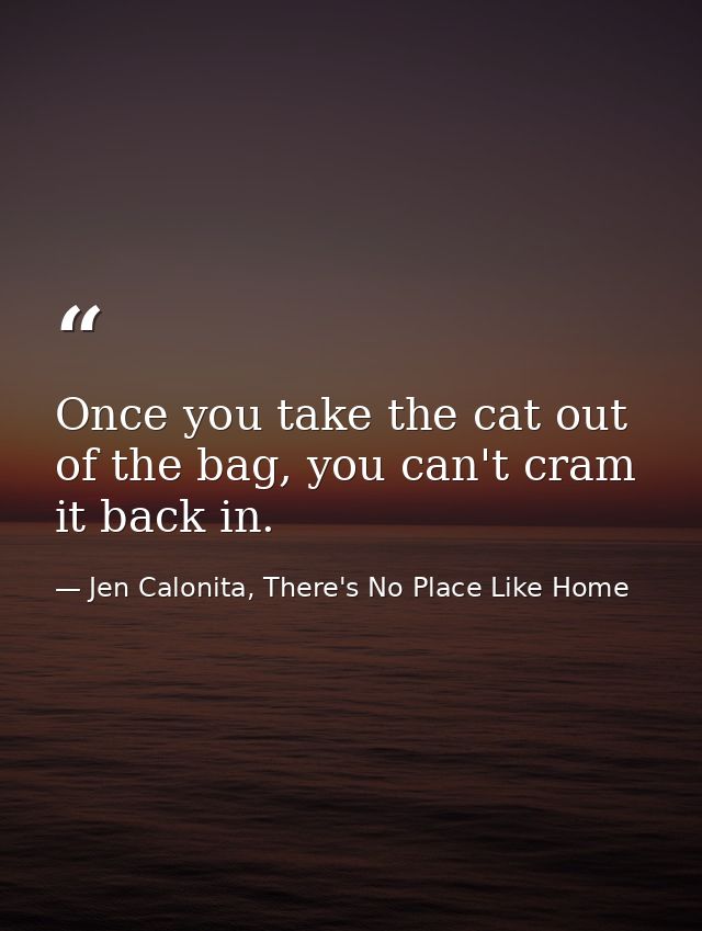 Once you take the cat out of the bag, you can't cram it back in. — Jen Calonita, There's No Place Like Home