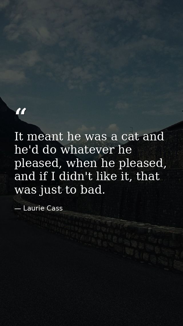 It meant he was a cat and he'd do whatever he pleased, when he pleased, and if I didn't like it, that was just to bad. — Laurie Cass