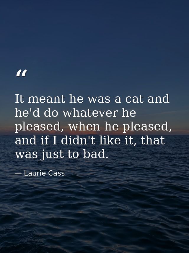 It meant he was a cat and he'd do whatever he pleased, when he pleased, and if I didn't like it, that was just to bad. — Laurie Cass