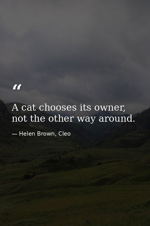 A cat chooses its owner, not the other way around. — Helen Brown, Cleo