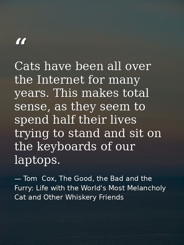 Cats have been all over the Internet for many years. This makes total sense, as they seem to spend half their lives tryi — Tom  Cox, The Good, the Bad and the Furry: Life with the World's Most Melancholy Cat and Other Whiskery Friends