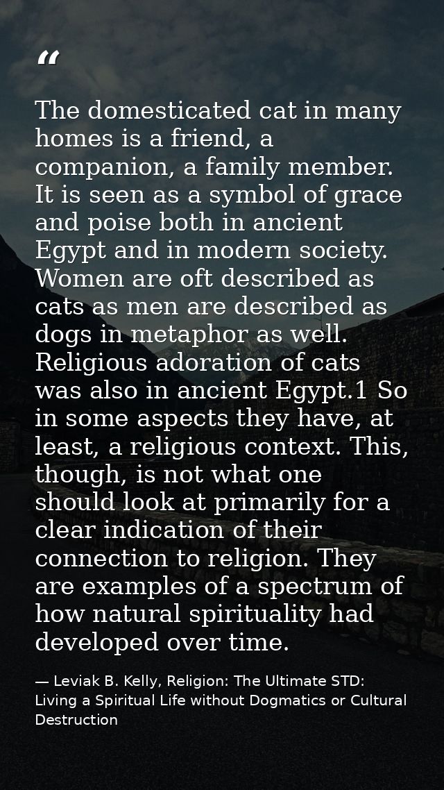 The domesticated cat in many homes is a friend, a companion, a family member. It is seen as a symbol of grace and poise  — Leviak B. Kelly, Religion: The Ultimate STD: Living a Spiritual Life without Dogmatics or Cultural Destruction
