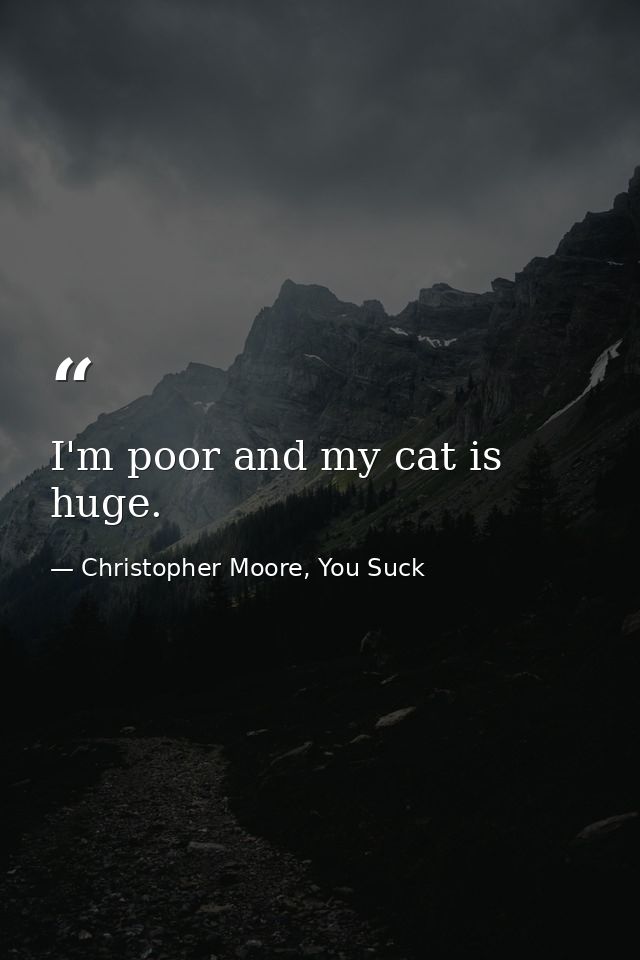 I'm poor and my cat is huge. — Christopher Moore, You Suck