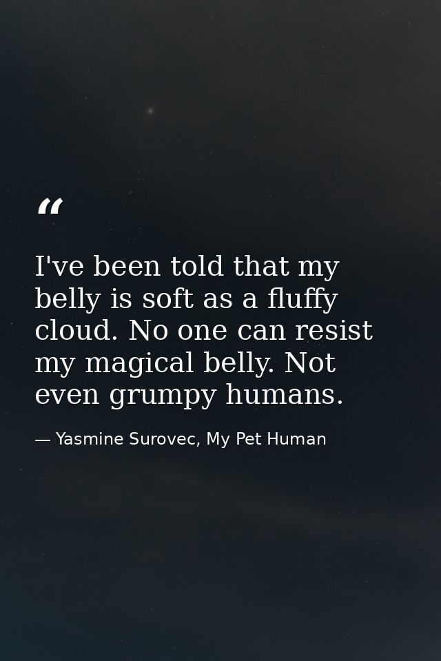 I've been told that my belly is soft as a fluffy cloud. No one can resist my magical belly. Not even grumpy humans. — Yasmine Surovec, My Pet Human