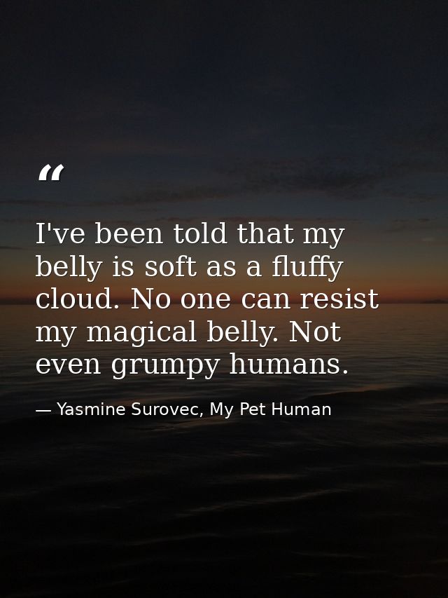 I've been told that my belly is soft as a fluffy cloud. No one can resist my magical belly. Not even grumpy humans. — Yasmine Surovec, My Pet Human