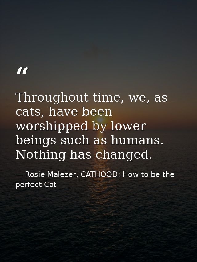Throughout time, we, as cats, have been worshipped by lower beings such as humans. Nothing has changed. — Rosie Malezer, CATHOOD: How to be the perfect Cat