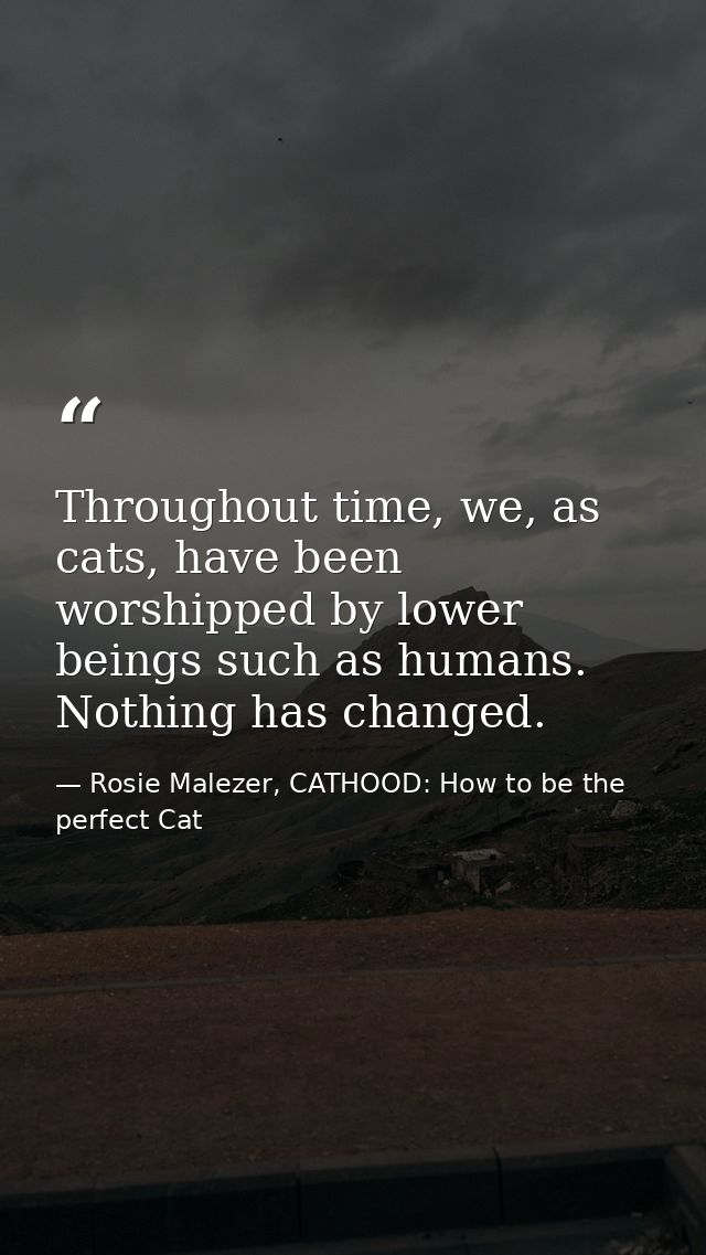 Throughout time, we, as cats, have been worshipped by lower beings such as humans. Nothing has changed. — Rosie Malezer, CATHOOD: How to be the perfect Cat