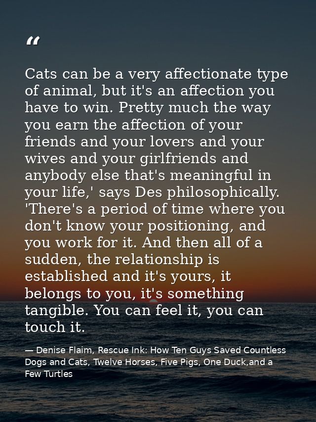 Cats can be a very affectionate type of animal, but it's an affection you have to win. Pretty much the way you earn the  — Denise Flaim, Rescue Ink: How Ten Guys Saved Countless Dogs and Cats, Twelve Horses, Five Pigs, One Duck,and a Few Turtles