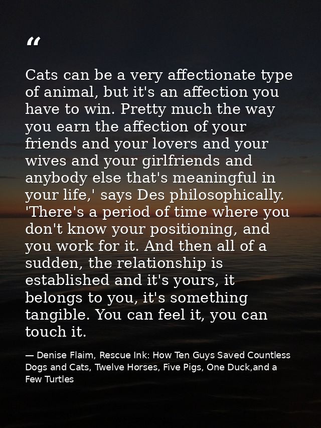 Cats can be a very affectionate type of animal, but it's an affection you have to win. Pretty much the way you earn the  — Denise Flaim, Rescue Ink: How Ten Guys Saved Countless Dogs and Cats, Twelve Horses, Five Pigs, One Duck,and a Few Turtles