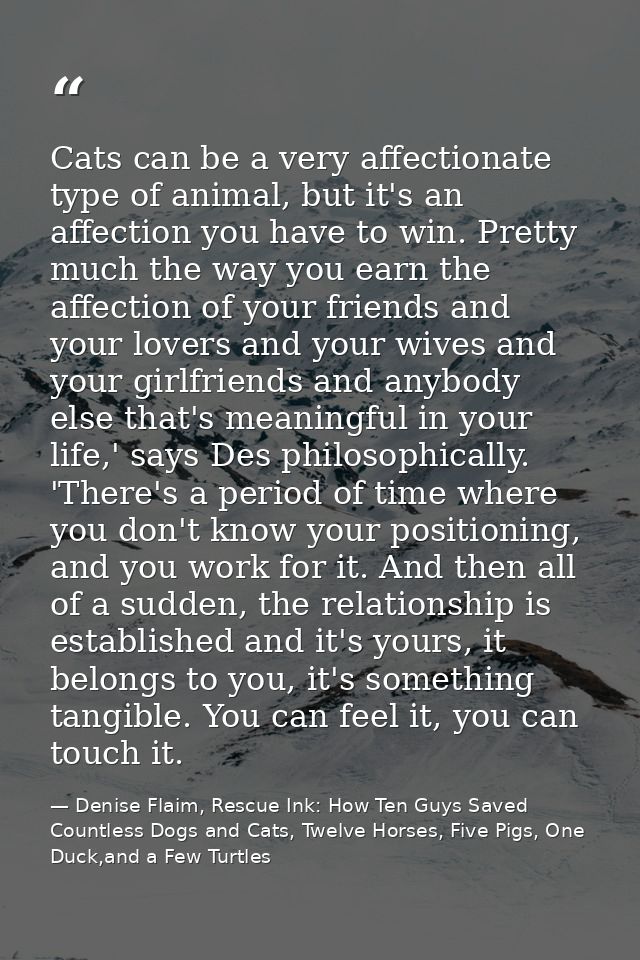 Cats can be a very affectionate type of animal, but it's an affection you have to win. Pretty much the way you earn the  — Denise Flaim, Rescue Ink: How Ten Guys Saved Countless Dogs and Cats, Twelve Horses, Five Pigs, One Duck,and a Few Turtles