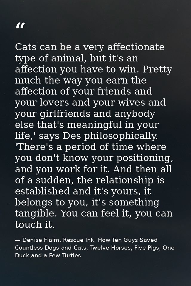 Cats can be a very affectionate type of animal, but it's an affection you have to win. Pretty much the way you earn the  — Denise Flaim, Rescue Ink: How Ten Guys Saved Countless Dogs and Cats, Twelve Horses, Five Pigs, One Duck,and a Few Turtles