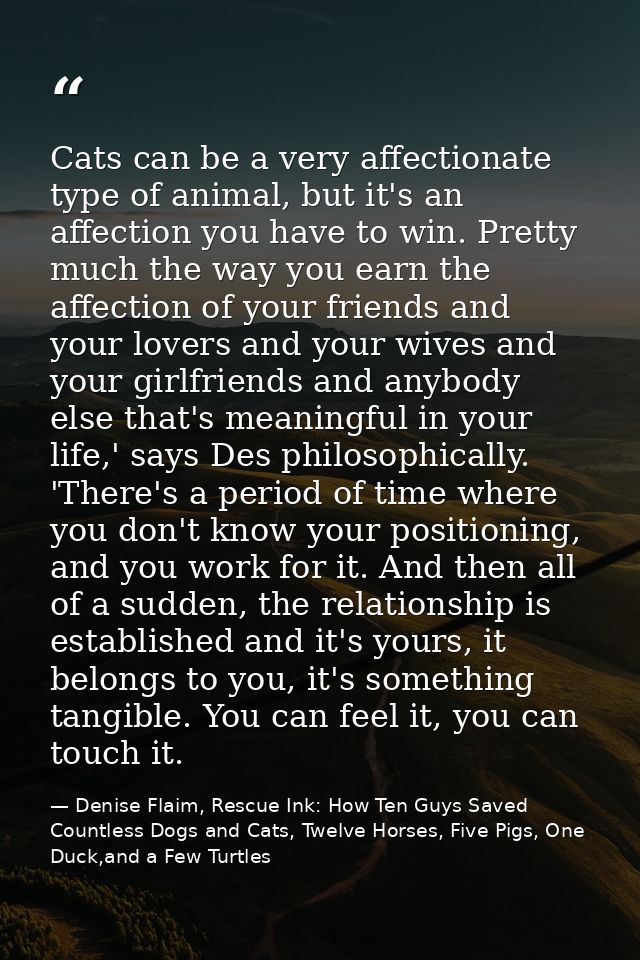Cats can be a very affectionate type of animal, but it's an affection you have to win. Pretty much the way you earn the  — Denise Flaim, Rescue Ink: How Ten Guys Saved Countless Dogs and Cats, Twelve Horses, Five Pigs, One Duck,and a Few Turtles