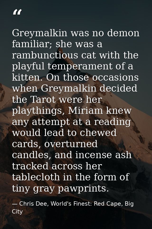 Greymalkin was no demon familiar; she was a rambunctious cat with the playful temperament of a kitten. On those occasion — Chris Dee, World's Finest: Red Cape, Big City