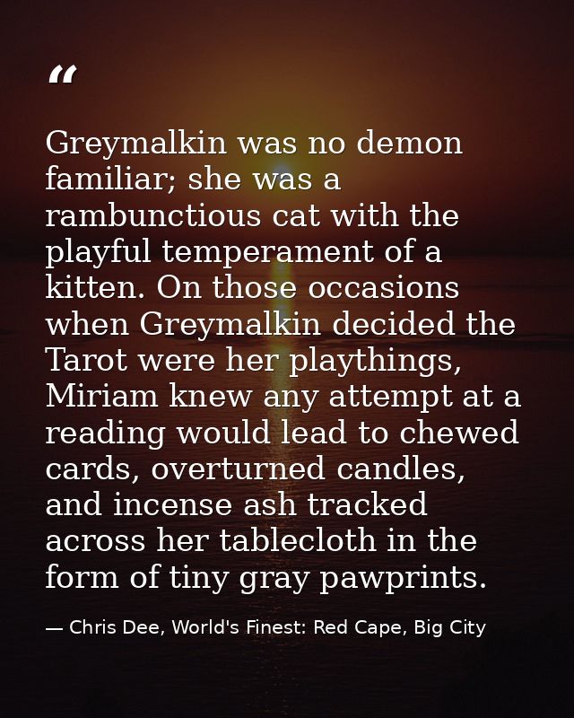 Greymalkin was no demon familiar; she was a rambunctious cat with the playful temperament of a kitten. On those occasion — Chris Dee, World's Finest: Red Cape, Big City