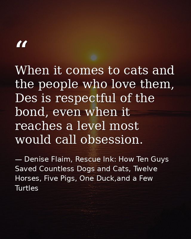 When it comes to cats and the people who love them, Des is respectful of the bond, even when it reaches a level most wou — Denise Flaim, Rescue Ink: How Ten Guys Saved Countless Dogs and Cats, Twelve Horses, Five Pigs, One Duck,and a Few Turtles