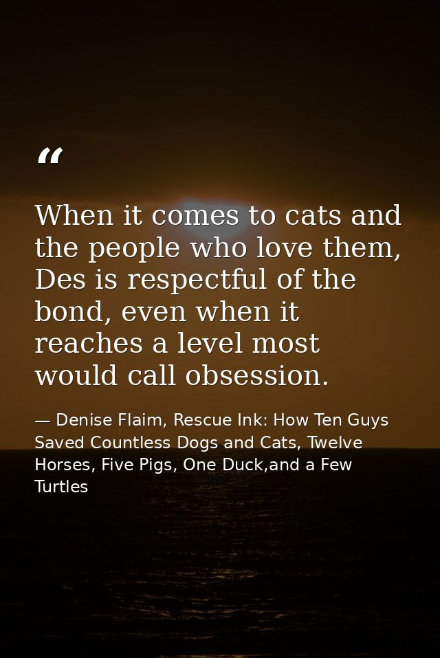 When it comes to cats and the people who love them, Des is respectful of the bond, even when it reaches a level most wou — Denise Flaim, Rescue Ink: How Ten Guys Saved Countless Dogs and Cats, Twelve Horses, Five Pigs, One Duck,and a Few Turtles