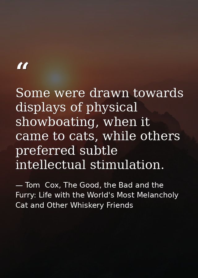 Some were drawn towards displays of physical showboating, when it came to cats, while others preferred subtle intellectu — Tom  Cox, The Good, the Bad and the Furry: Life with the World's Most Melancholy Cat and Other Whiskery Friends