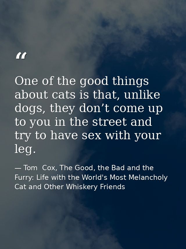 One of the good things about cats is that, unlike dogs, they don’t come up to you in the street and try to have sex with — Tom  Cox, The Good, the Bad and the Furry: Life with the World's Most Melancholy Cat and Other Whiskery Friends