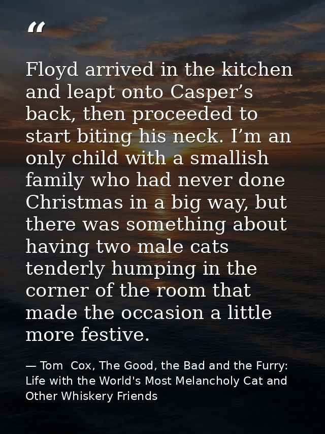 Floyd arrived in the kitchen and leapt onto Casper’s back, then proceeded to start biting his neck. I’m an only child wi — Tom  Cox, The Good, the Bad and the Furry: Life with the World's Most Melancholy Cat and Other Whiskery Friends