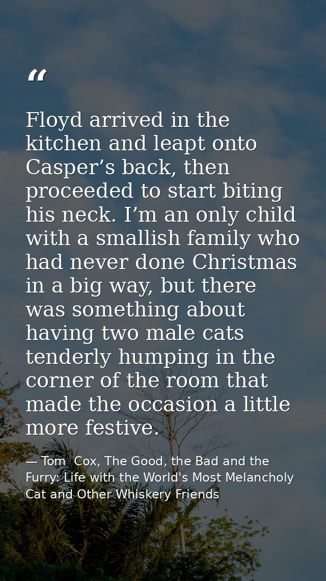 Floyd arrived in the kitchen and leapt onto Casper’s back, then proceeded to start biting his neck. I’m an only child wi — Tom  Cox, The Good, the Bad and the Furry: Life with the World's Most Melancholy Cat and Other Whiskery Friends