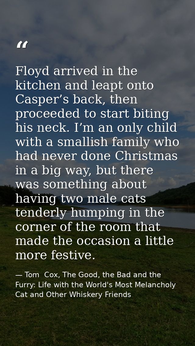 Floyd arrived in the kitchen and leapt onto Casper’s back, then proceeded to start biting his neck. I’m an only child wi — Tom  Cox, The Good, the Bad and the Furry: Life with the World's Most Melancholy Cat and Other Whiskery Friends