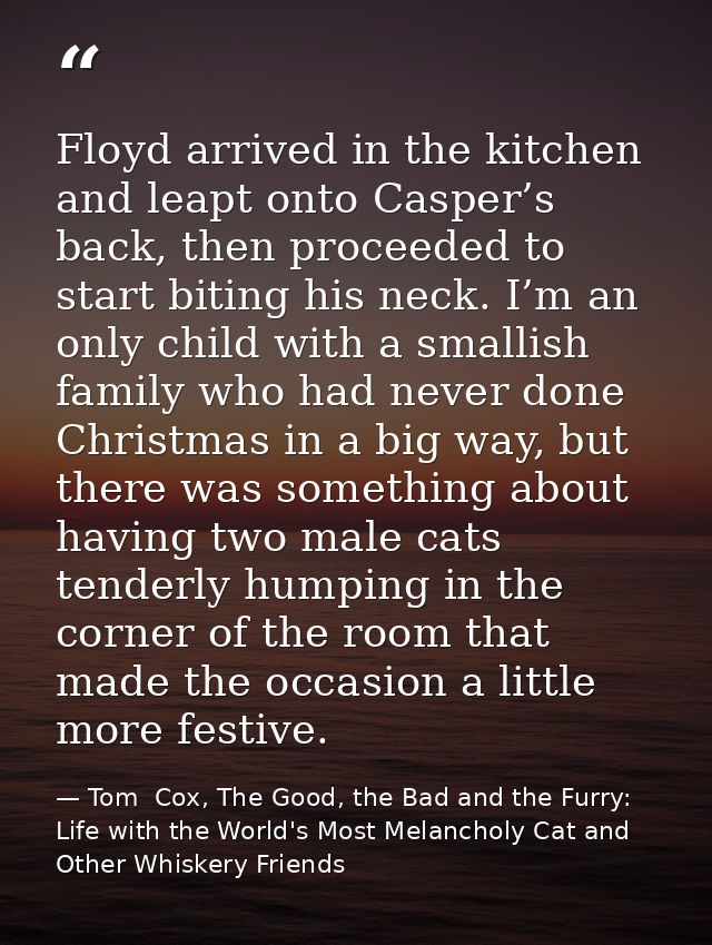 Floyd arrived in the kitchen and leapt onto Casper’s back, then proceeded to start biting his neck. I’m an only child wi — Tom  Cox, The Good, the Bad and the Furry: Life with the World's Most Melancholy Cat and Other Whiskery Friends