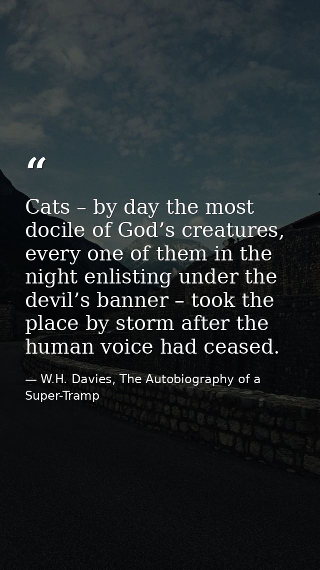 Cats – by day the most docile of God’s creatures, every one of them in the night enlisting under the devil’s banner – to — W.H. Davies, The Autobiography of a Super-Tramp