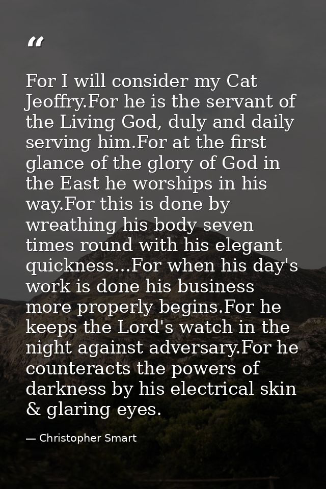 For I will consider my Cat Jeoffry.For he is the servant of the Living God, duly and daily serving him.For at the first  — Christopher Smart