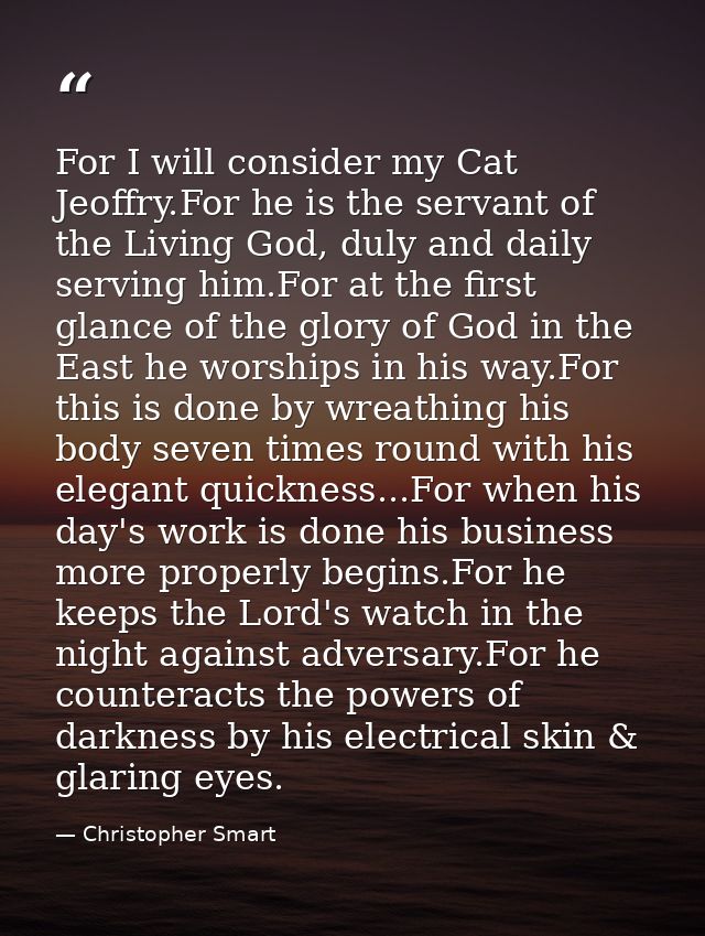 For I will consider my Cat Jeoffry.For he is the servant of the Living God, duly and daily serving him.For at the first  — Christopher Smart