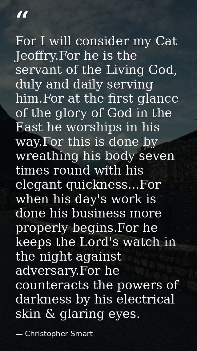For I will consider my Cat Jeoffry.For he is the servant of the Living God, duly and daily serving him.For at the first  — Christopher Smart