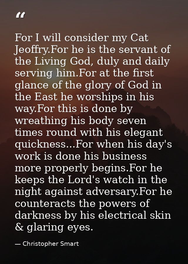 For I will consider my Cat Jeoffry.For he is the servant of the Living God, duly and daily serving him.For at the first  — Christopher Smart