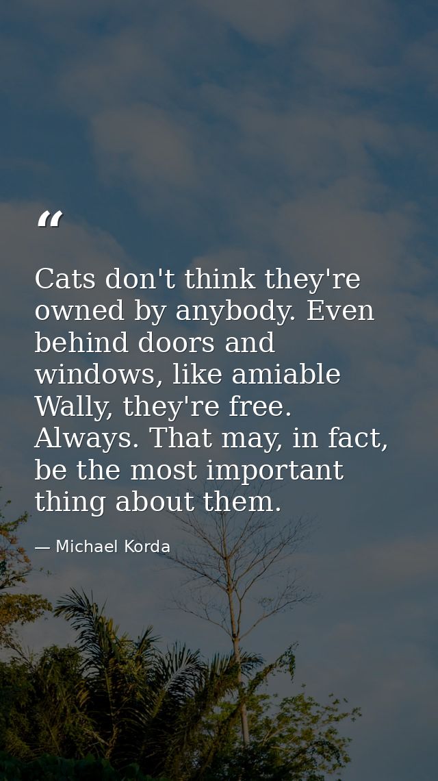 Cats don't think they're owned by anybody. Even behind doors and windows, like amiable Wally, they're free. Always. That — Michael Korda