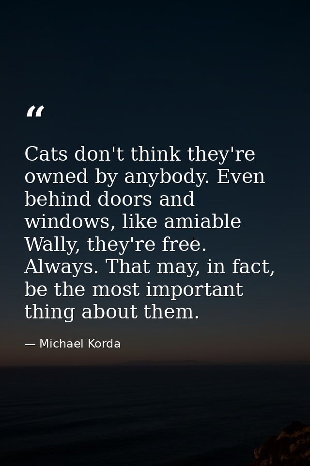 Cats don't think they're owned by anybody. Even behind doors and windows, like amiable Wally, they're free. Always. That — Michael Korda