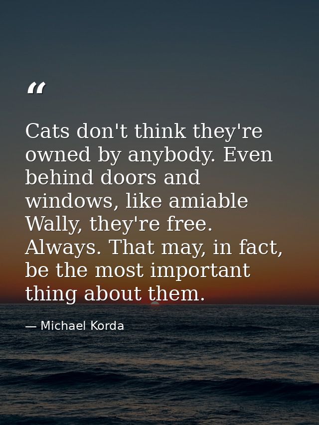 Cats don't think they're owned by anybody. Even behind doors and windows, like amiable Wally, they're free. Always. That — Michael Korda