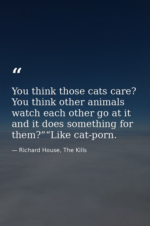 You think those cats care? You think other animals watch each other go at it and it does something for them?”“Like cat-p — Richard House, The Kills