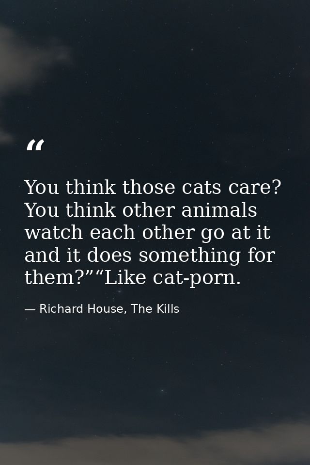 You think those cats care? You think other animals watch each other go at it and it does something for them?”“Like cat-p — Richard House, The Kills
