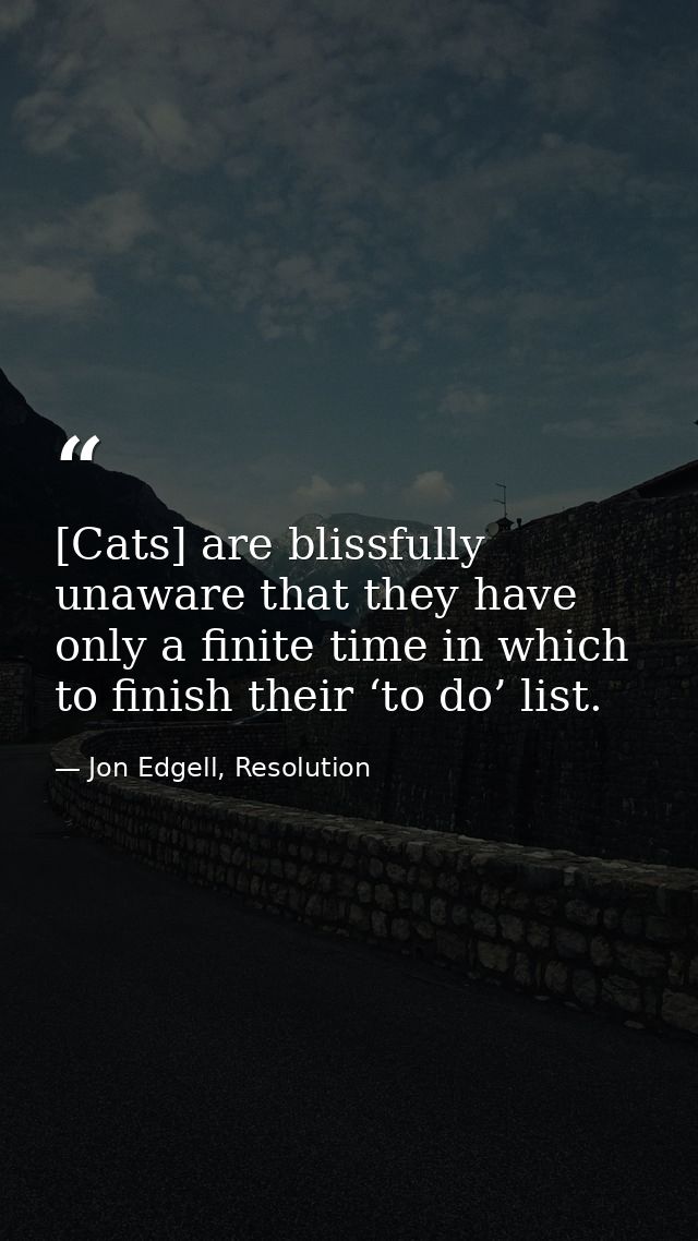 [Cats] are blissfully unaware that they have only a finite time in which to finish their ‘to do’ list. — Jon Edgell, Resolution