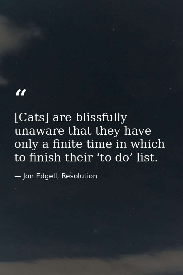 [Cats] are blissfully unaware that they have only a finite time in which to finish their ‘to do’ list. — Jon Edgell, Resolution