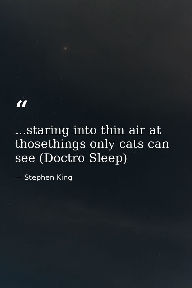 ...staring into thin air at thosethings only cats can see (Doctro Sleep) — Stephen King
