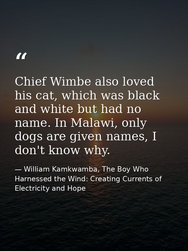 Chief Wimbe also loved his cat, which was black and white but had no name. In Malawi, only dogs are given names, I don't — William Kamkwamba, The Boy Who Harnessed the Wind: Creating Currents of Electricity and Hope