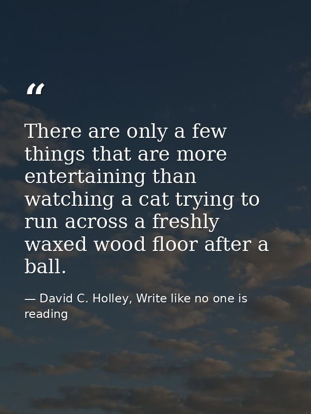 There are only a few things that are more entertaining than watching a cat trying to run across a freshly waxed wood flo — David C. Holley, Write like no one is reading