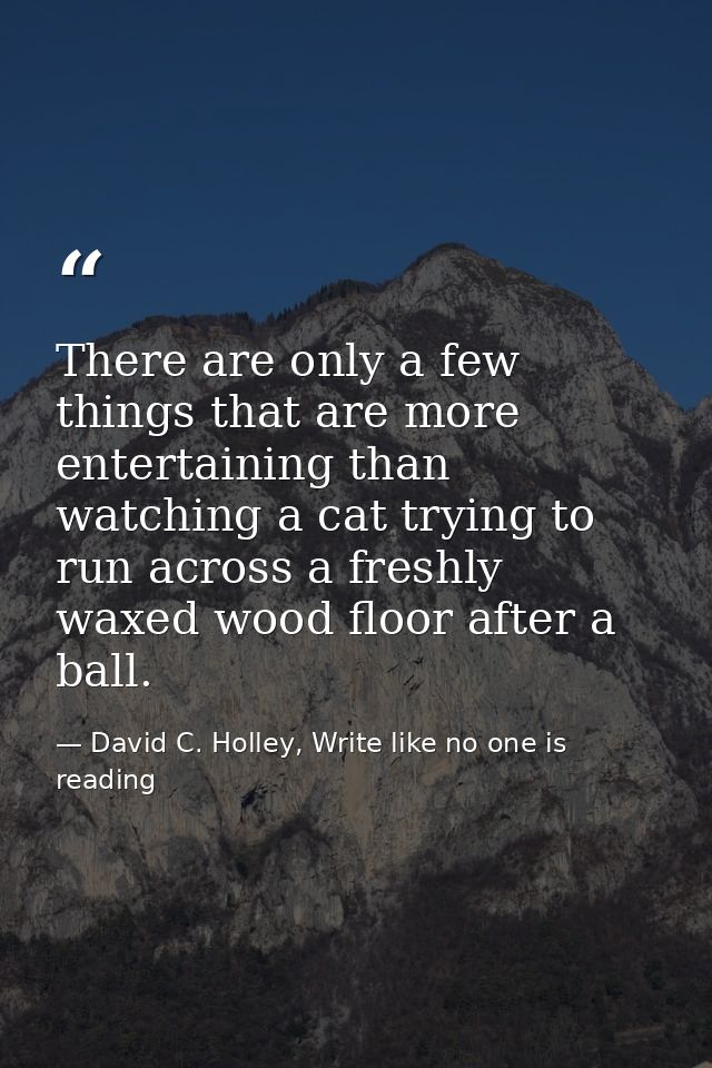 There are only a few things that are more entertaining than watching a cat trying to run across a freshly waxed wood flo — David C. Holley, Write like no one is reading