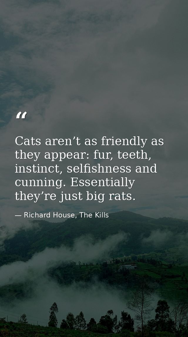 Cats aren’t as friendly as they appear: fur, teeth, instinct, selfishness and cunning. Essentially they’re just big rats — Richard House, The Kills