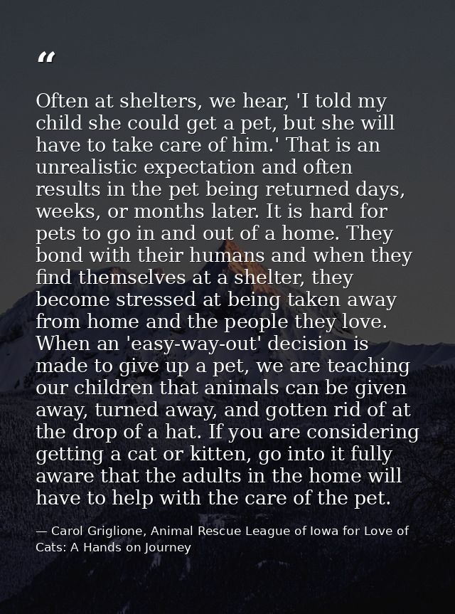 Often at shelters, we hear, 'I told my child she could get a pet, but she will have to take care of him.' That is an unr — Carol Griglione, Animal Rescue League of Iowa for Love of Cats: A Hands on Journey
