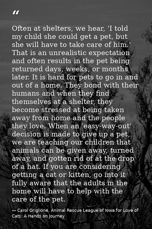 Often at shelters, we hear, 'I told my child she could get a pet, but she will have to take care of him.' That is an unr — Carol Griglione, Animal Rescue League of Iowa for Love of Cats: A Hands on Journey