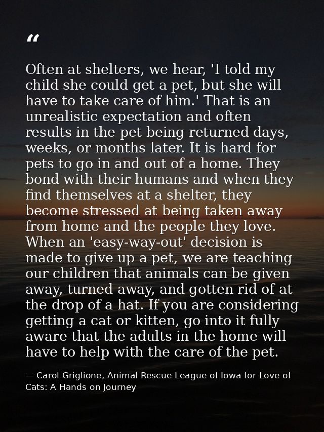 Often at shelters, we hear, 'I told my child she could get a pet, but she will have to take care of him.' That is an unr — Carol Griglione, Animal Rescue League of Iowa for Love of Cats: A Hands on Journey