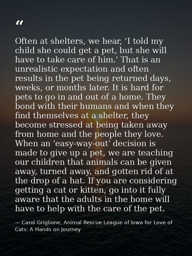 Often at shelters, we hear, 'I told my child she could get a pet, but she will have to take care of him.' That is an unr — Carol Griglione, Animal Rescue League of Iowa for Love of Cats: A Hands on Journey