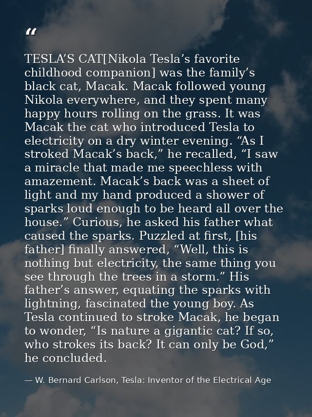 TESLA’S CAT[Nikola Tesla’s favorite childhood companion] was the family’s black cat, Macak. Macak followed young Nikola  — W. Bernard Carlson, Tesla: Inventor of the Electrical Age