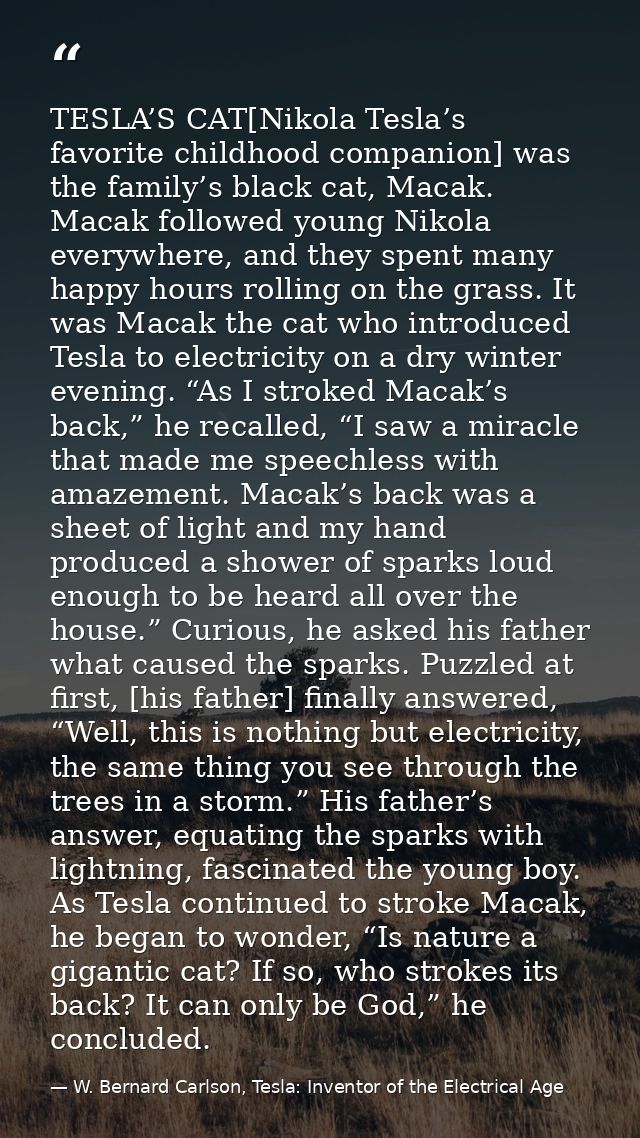TESLA’S CAT[Nikola Tesla’s favorite childhood companion] was the family’s black cat, Macak. Macak followed young Nikola  — W. Bernard Carlson, Tesla: Inventor of the Electrical Age