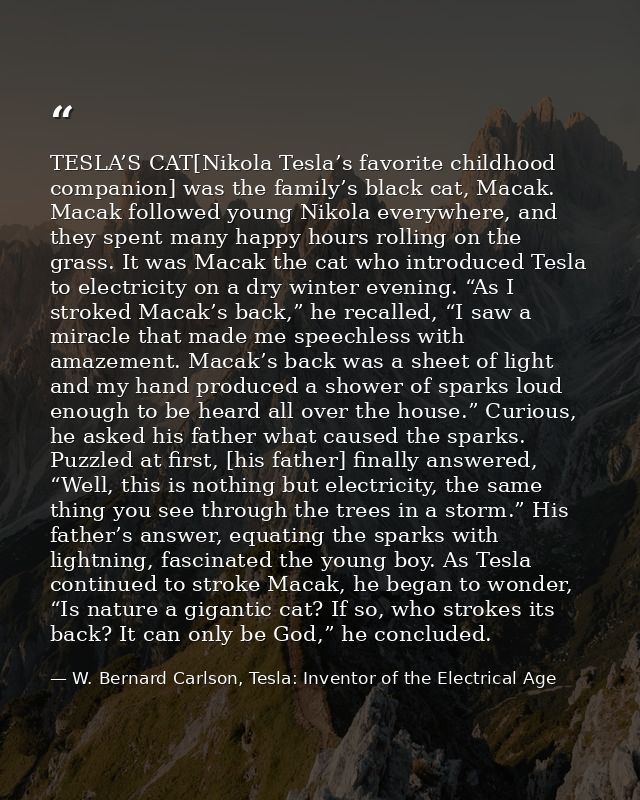 TESLA’S CAT[Nikola Tesla’s favorite childhood companion] was the family’s black cat, Macak. Macak followed young Nikola  — W. Bernard Carlson, Tesla: Inventor of the Electrical Age